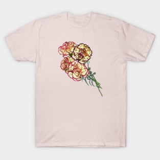 Colorful Carnations Vector Art Cut Out T-Shirt